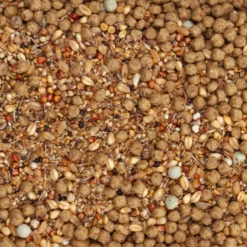 Beyers Energy Tovo 12kg