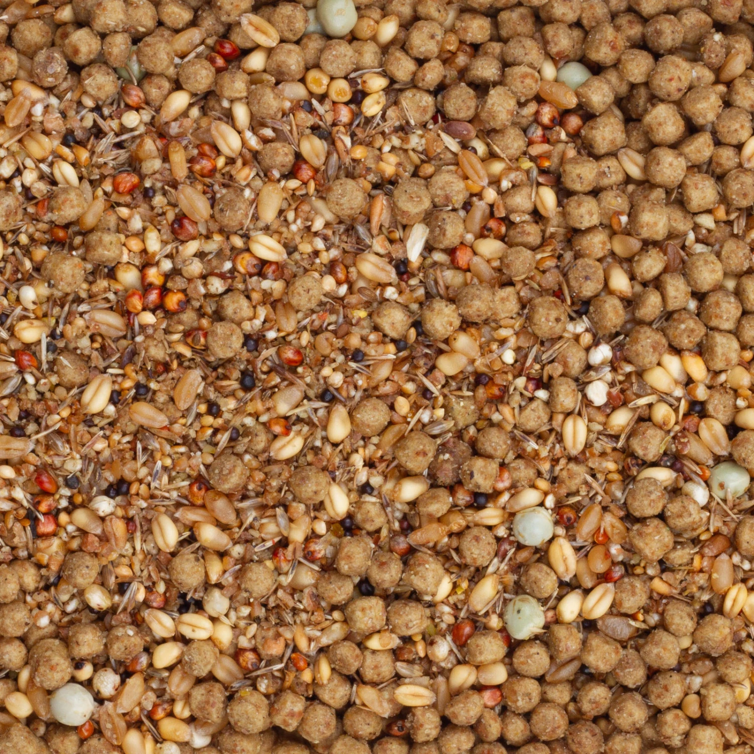 Beyers Energy Tovo 12kg 1 Beyers Energy Tovo 12kg