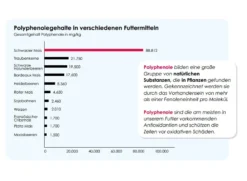 Versele Gerry Plus IC+ Black Label 20kg -Optimal Tierbedarf Geschäft antioxidantien 115