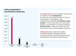 Versele Champion Plus IC+ Black Label, 20kg 7 Versele Champion Plus IC+ Black Label, 20kg -Optimal Tierbedarf Geschäft antioxidantien 213