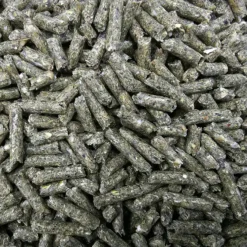 Berkel Chinchilla-Gold-KR 25kg