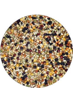 Versele Champion Plus IC+ Black Label, 20kg