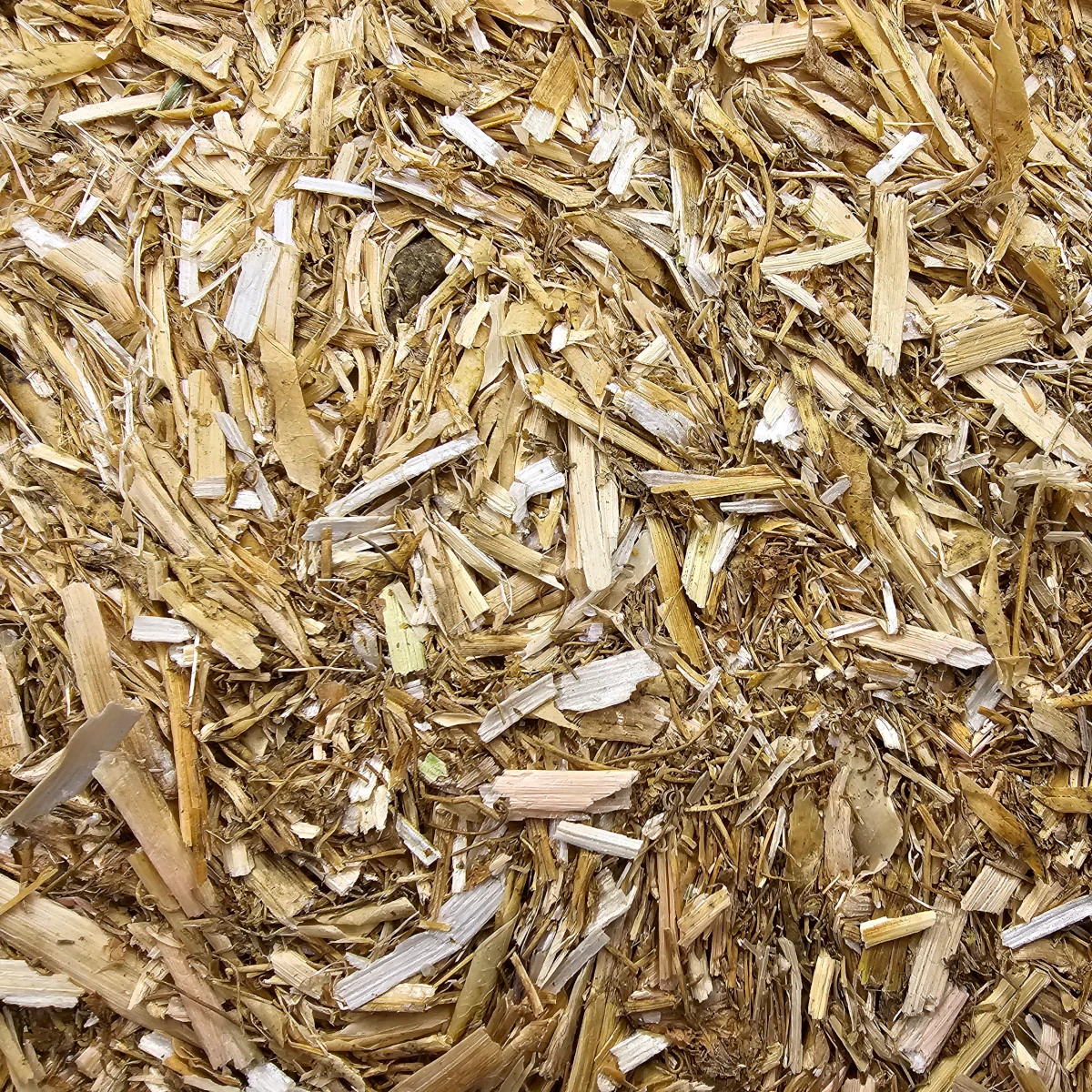 Erbsenstroh Vanrobaeys 10kg 1 Erbsenstroh Vanrobaeys 10kg