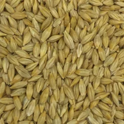 Gerste Gestutzt - Vanrobaeys 25kg