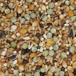 Gladen Rassetauben Mit Mais 25kg