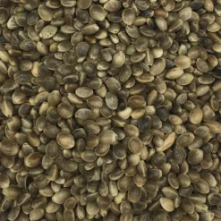 Hanfsaat Mittel - Gladen 20kg