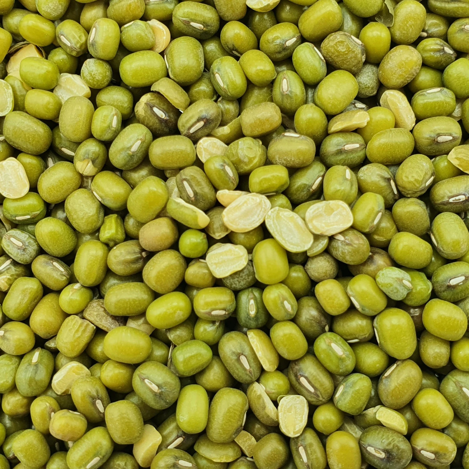 Katjangbohnen - Vanrobaeys 25kg 1 Katjangbohnen - Vanrobaeys 25kg