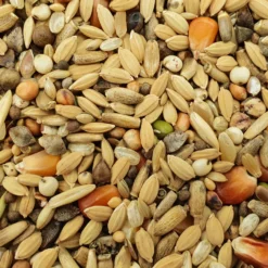 Matador Premium Detox 10kg