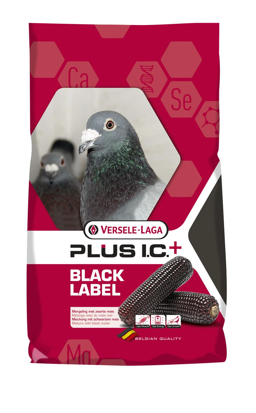 Versele Champion Plus IC+ Black Label, 20kg 2 Versele Champion Plus IC+ Black Label, 20kg – Bild 2