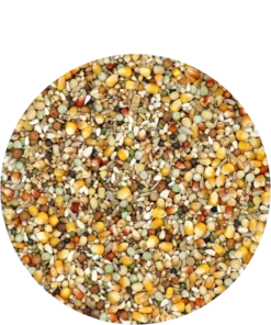 Versele Reise Active Life 25kg