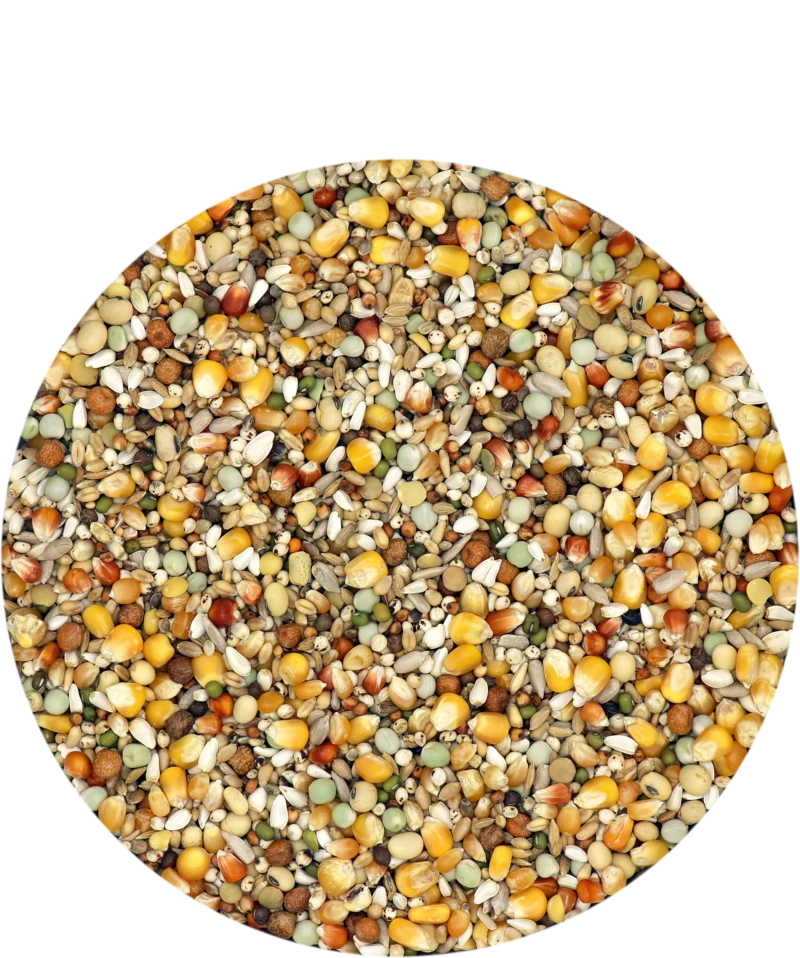 Versele Reise Active Life 25kg 1 Versele Reise Active Life 25kg