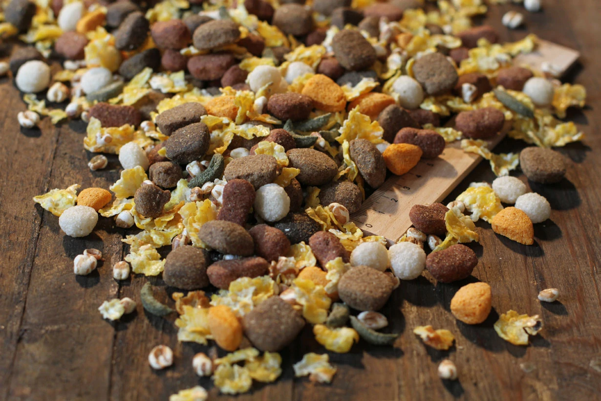 Bewi Dog Basic Menu 25kg 3 Bewi Dog Basic Menu 25kg – Bild 3