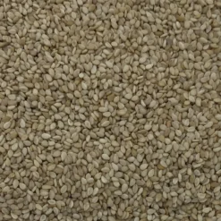 Sesamsaat - Vanrobaeys 25kg