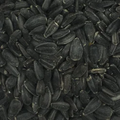 VERSELE-LAGA Sonnenblumenkerne Schwarz - Versele 15kg