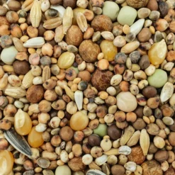 Spinne Stipsky Mischung - Tümmler 25kg