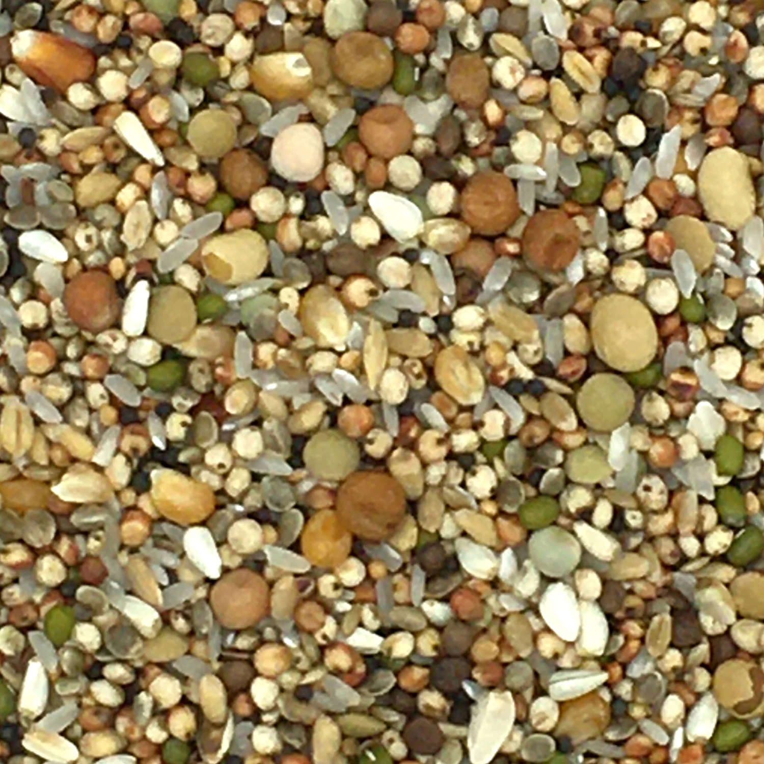 Vanrobaeys Nr.182 Zucht Premium Power 20kg 1 Vanrobaeys Nr.182 Zucht Premium Power 20kg